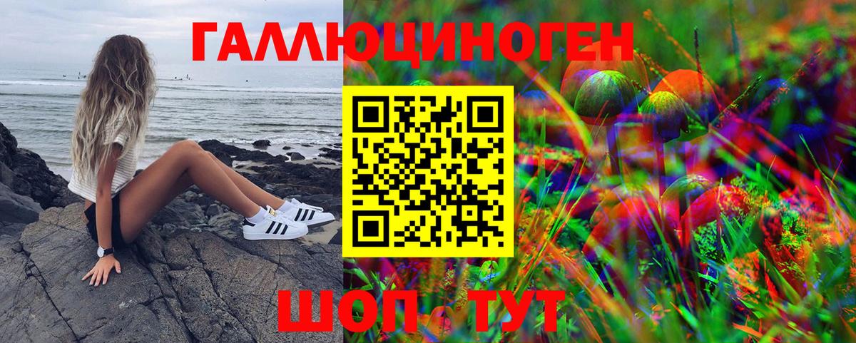 Белореченск  Псилоцибиновые грибы GOLDEN TEACHER  Вход с VPN 